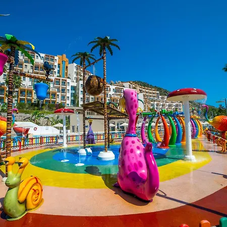 Kefaluka アキアーラ